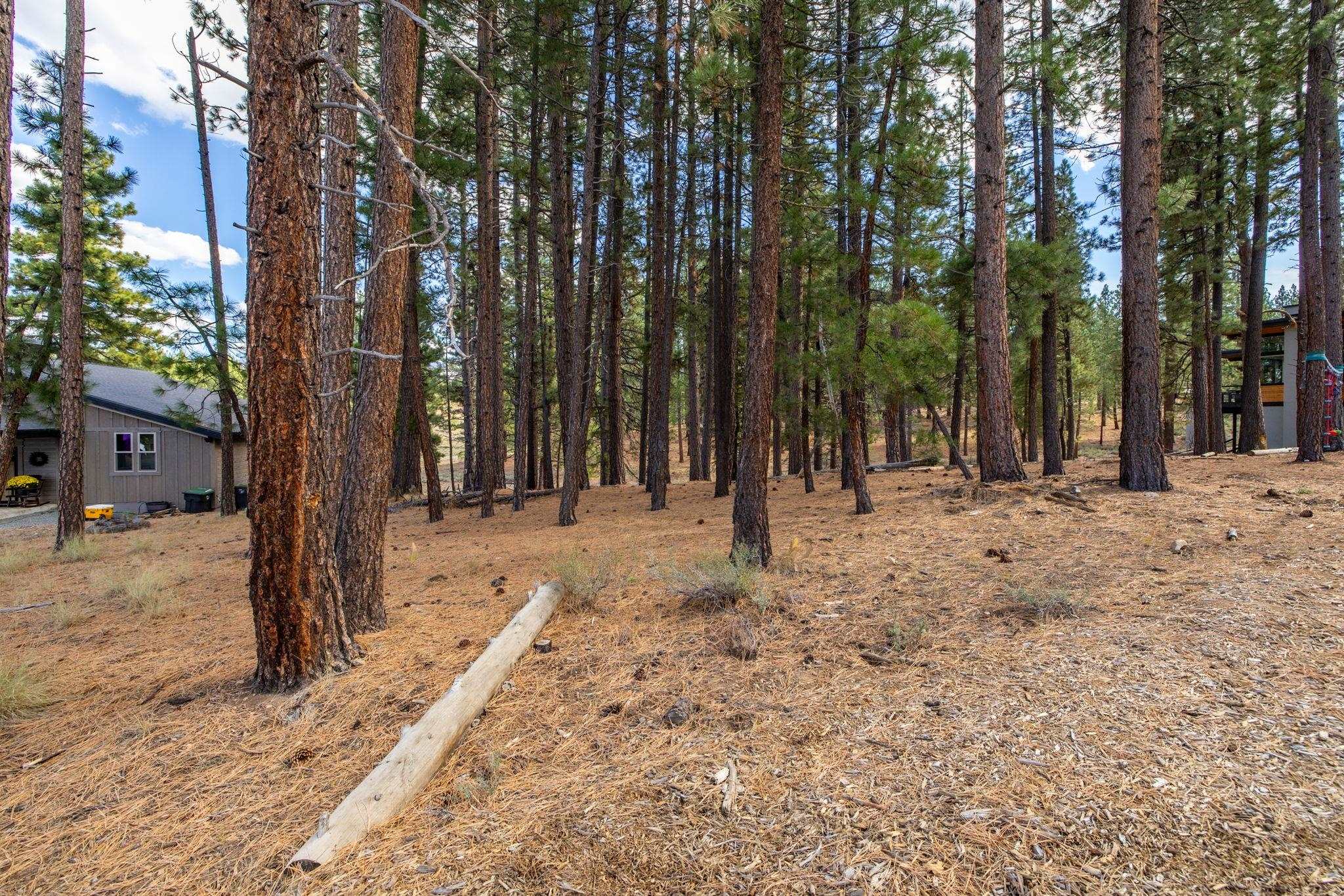 10703 Winchester Court Truckee, CA 96161 - Photo 23 of 27 a backyard of a house with trees and outdoor space