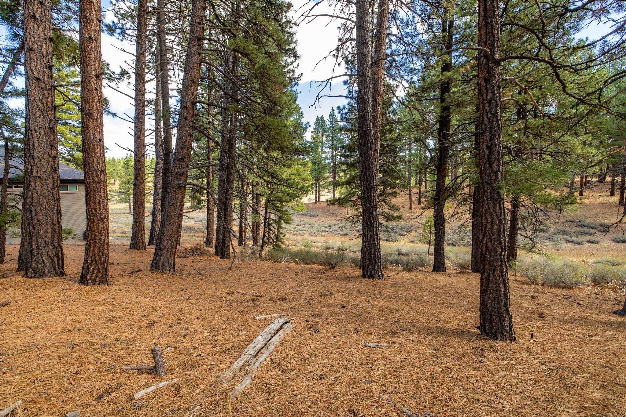 10703 Winchester Court Truckee, CA 96161 - Photo 24 of 27 a view of a covered with snow in the yard