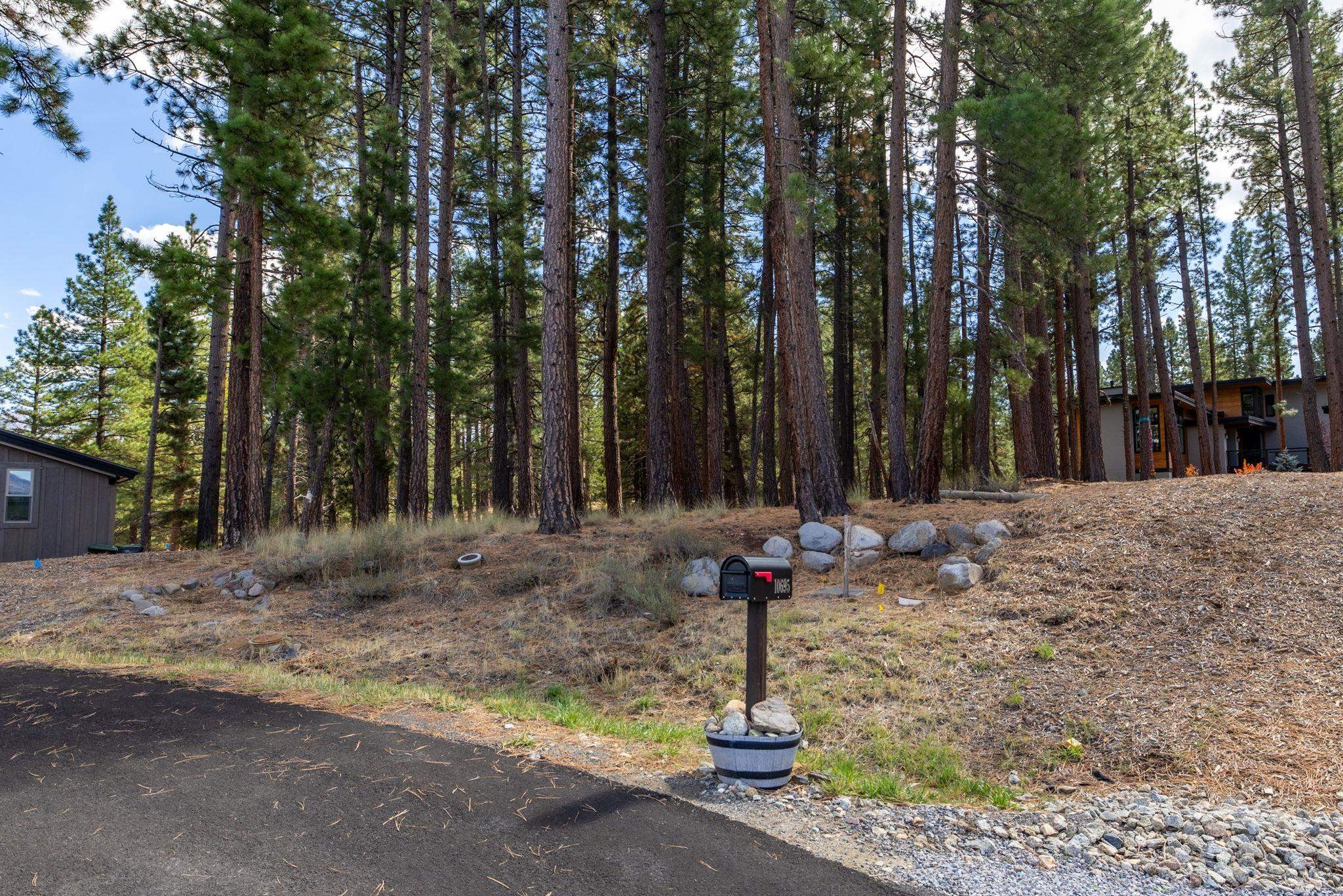 10703 Winchester Court Truckee, CA 96161 - Photo 27 of 27 a front view of a house with a tree