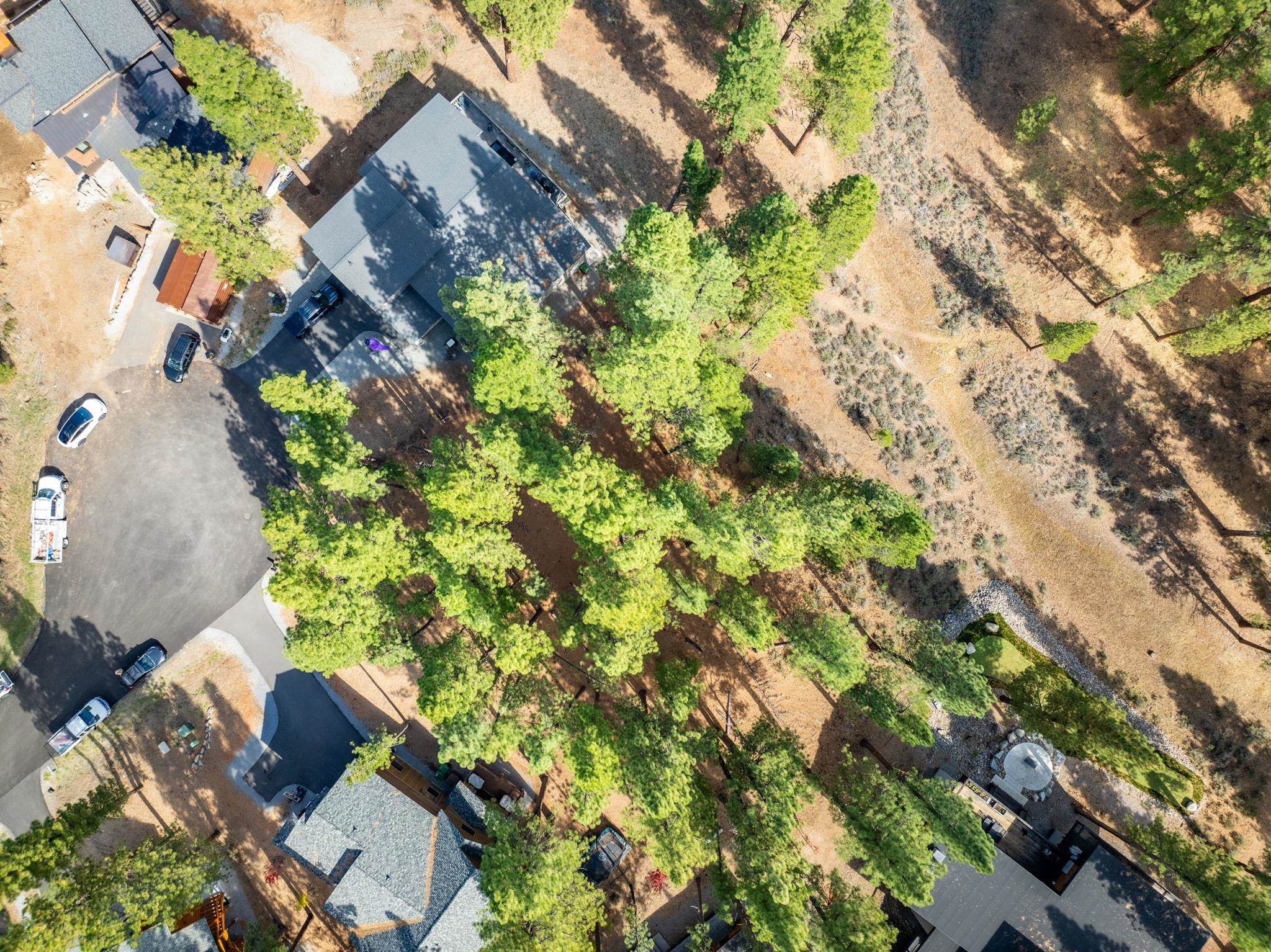 10703 Winchester Court Truckee, CA 96161 - Photo 4 of 27 a backyard of a house with lots of green space