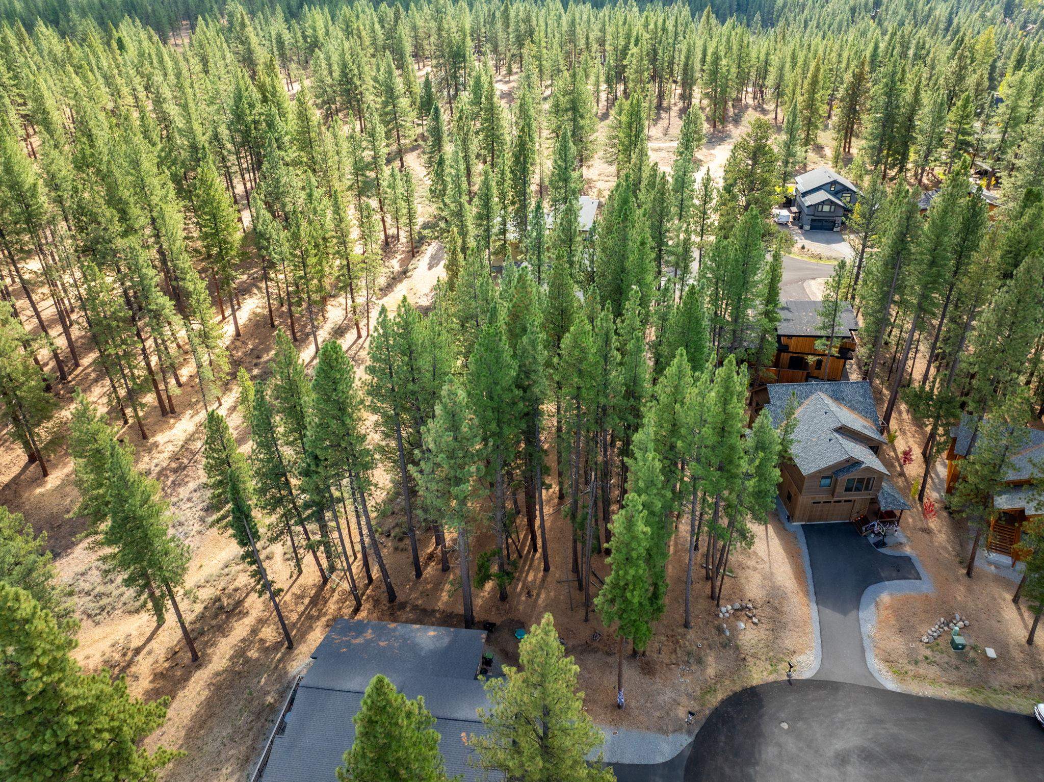 10703 Winchester Court Truckee, CA 96161 - Photo 6 of 27 a view of yard with seating area