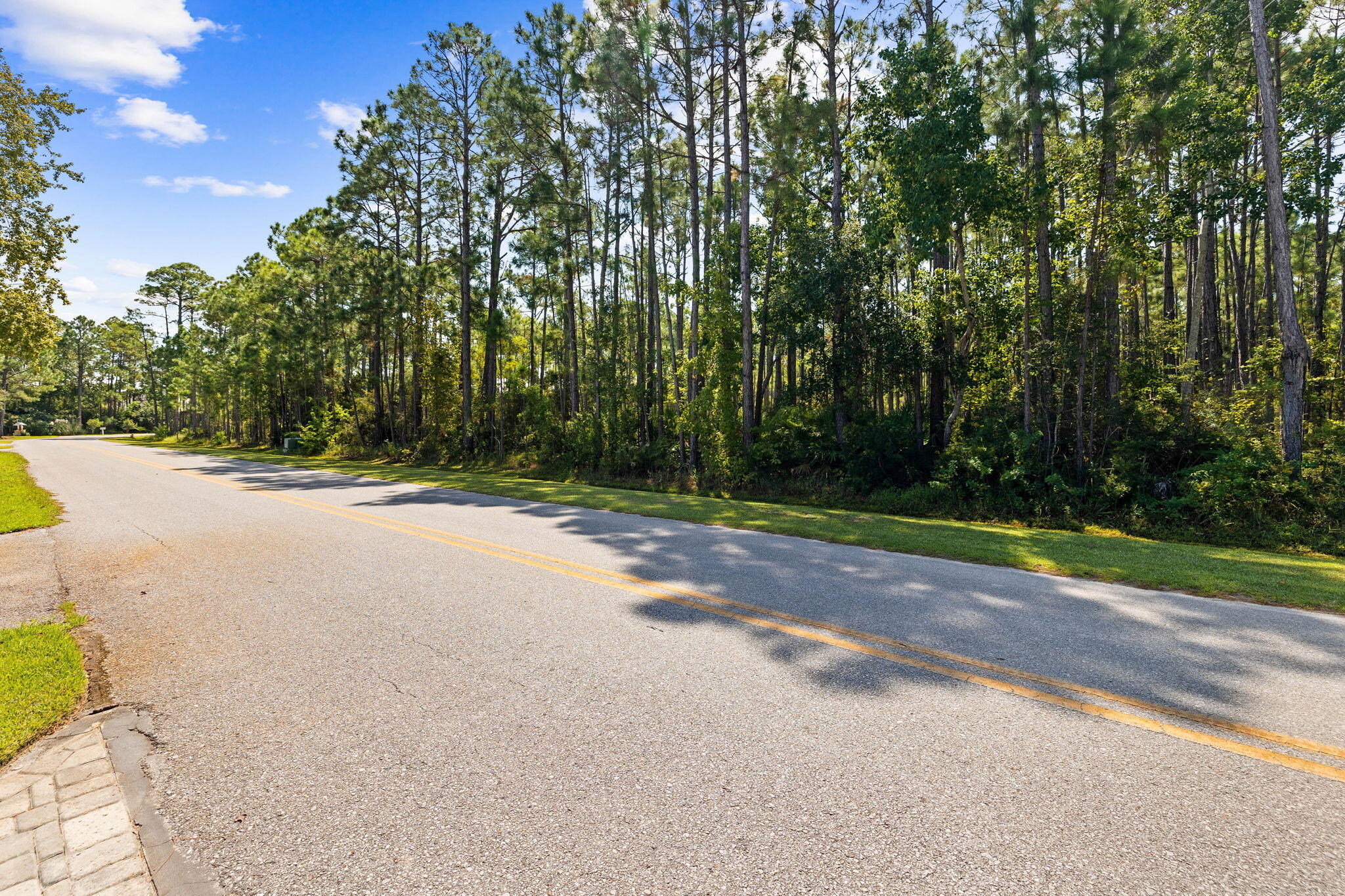 Lot 30 Woodland Bayou Drive Santa Rosa Beach, FL 32459 - Photo 11 of 28 a view of a field with trees in the background