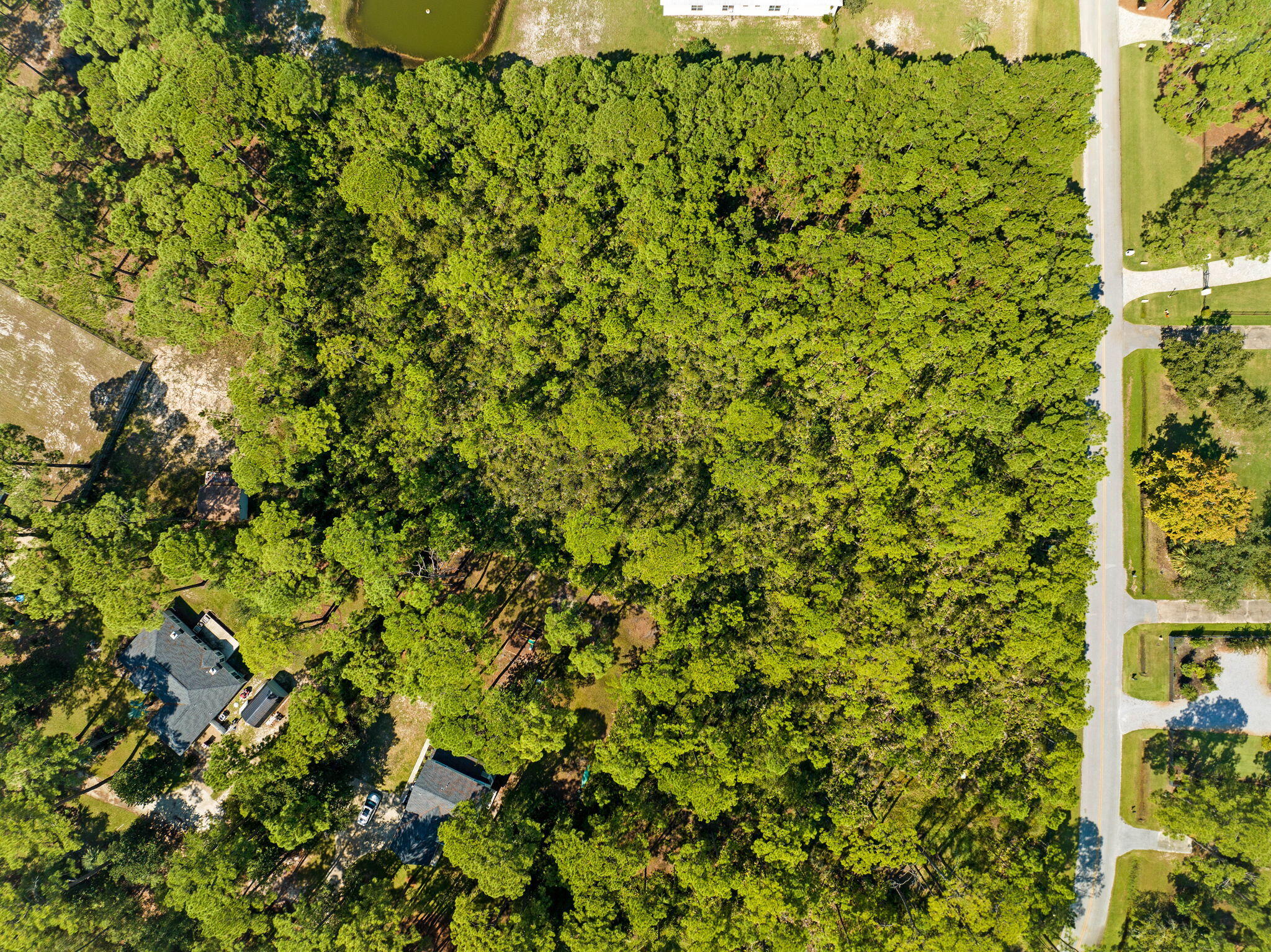 Lot 30 Woodland Bayou Drive Santa Rosa Beach, FL 32459 - Photo 12 of 28 a view of a tree with a street