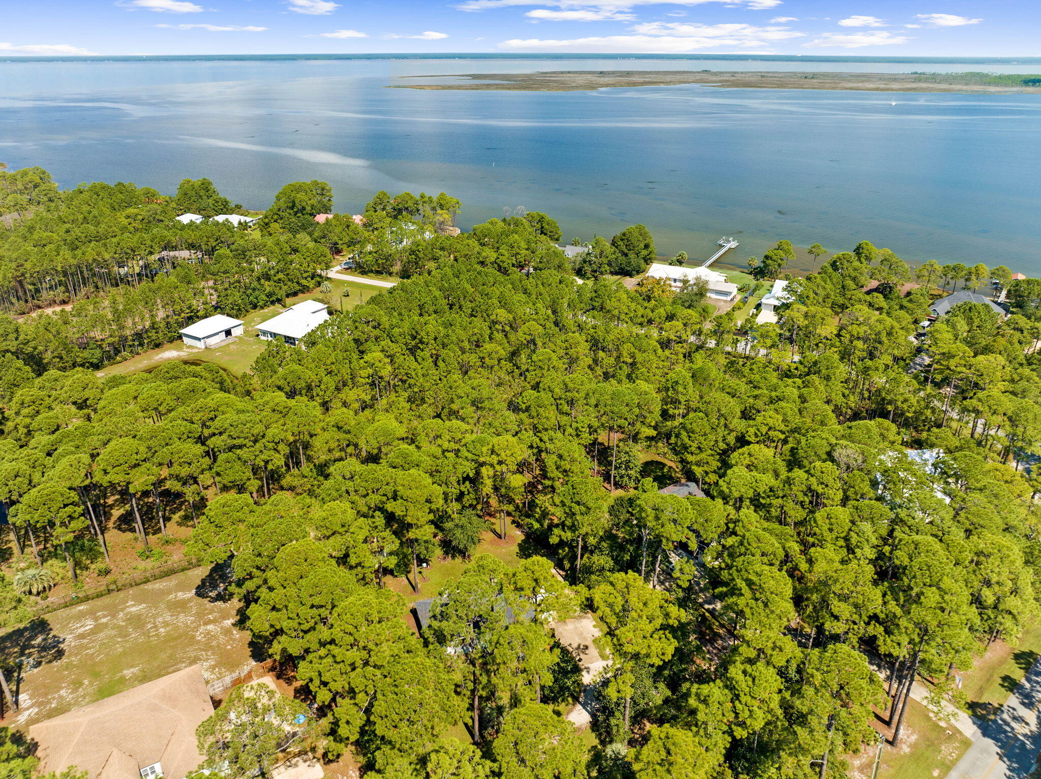 Lot 30 Woodland Bayou Drive Santa Rosa Beach, FL 32459 - Photo 17 of 28 a view of a lake with a tree