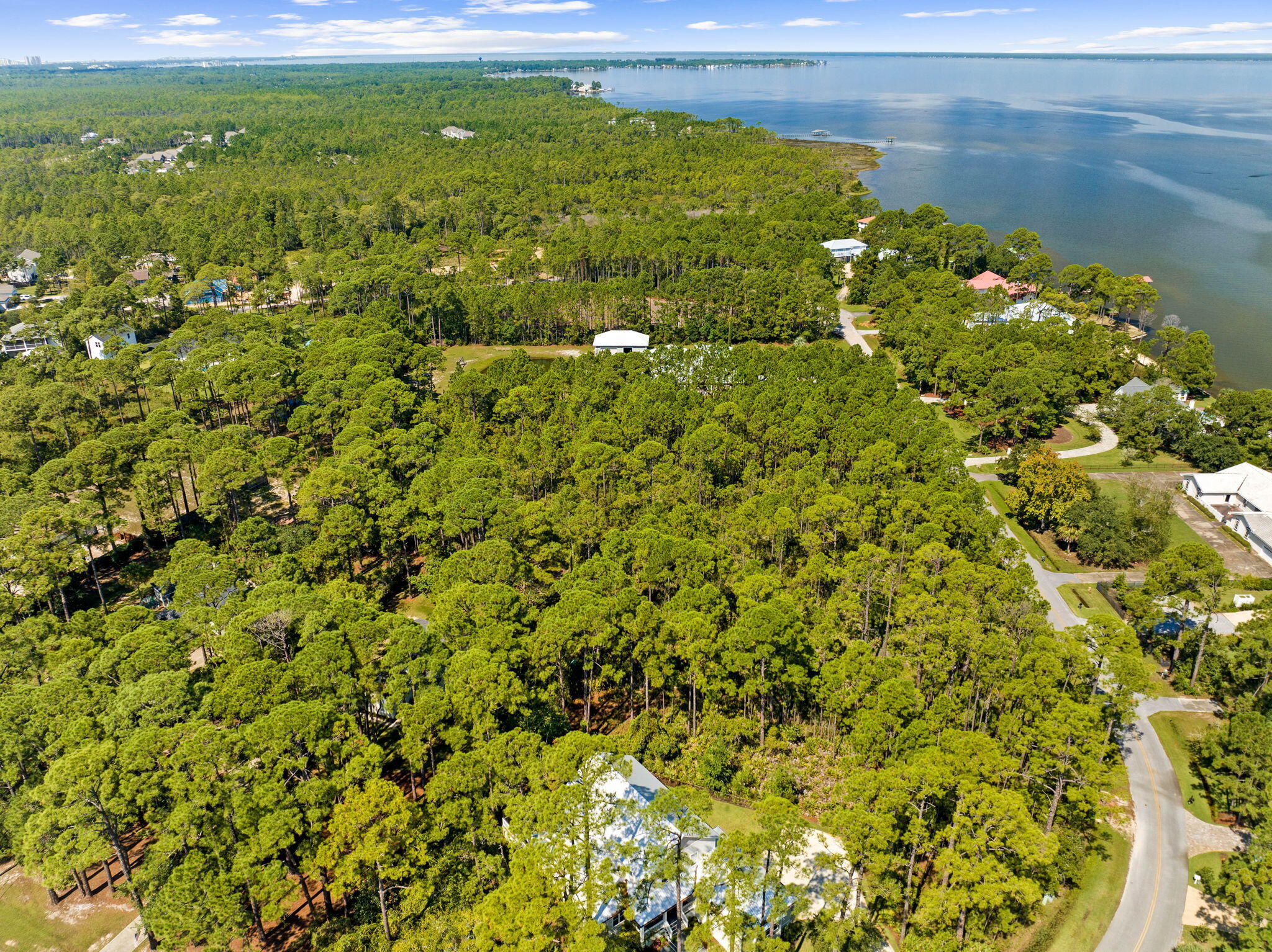 Lot 30 Woodland Bayou Drive Santa Rosa Beach, FL 32459 - Photo 19 of 28 a view of a big yard with lots of bushes