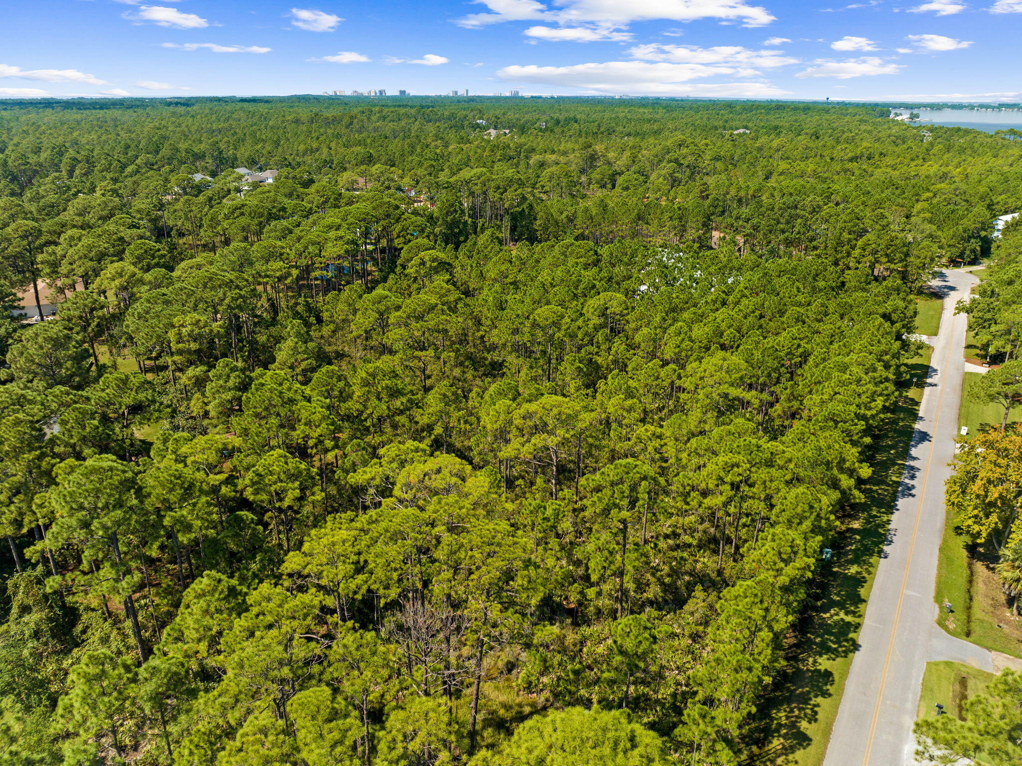 Lot 30 Woodland Bayou Drive Santa Rosa Beach, FL 32459 - Photo 6 of 28 a view of a green yard