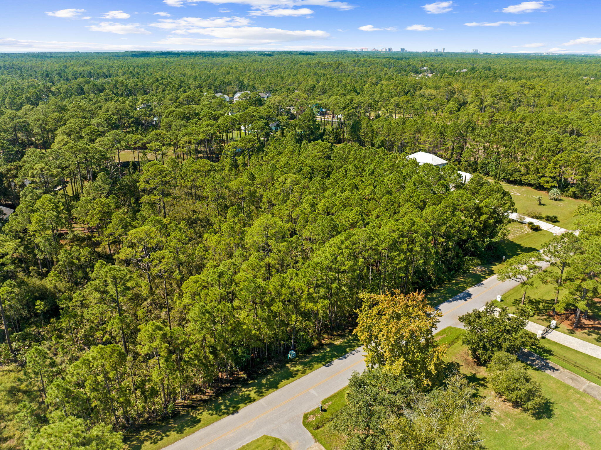Lot 30 Woodland Bayou Drive Santa Rosa Beach, FL 32459 - Photo 7 of 28 a view of a bunch of flowers