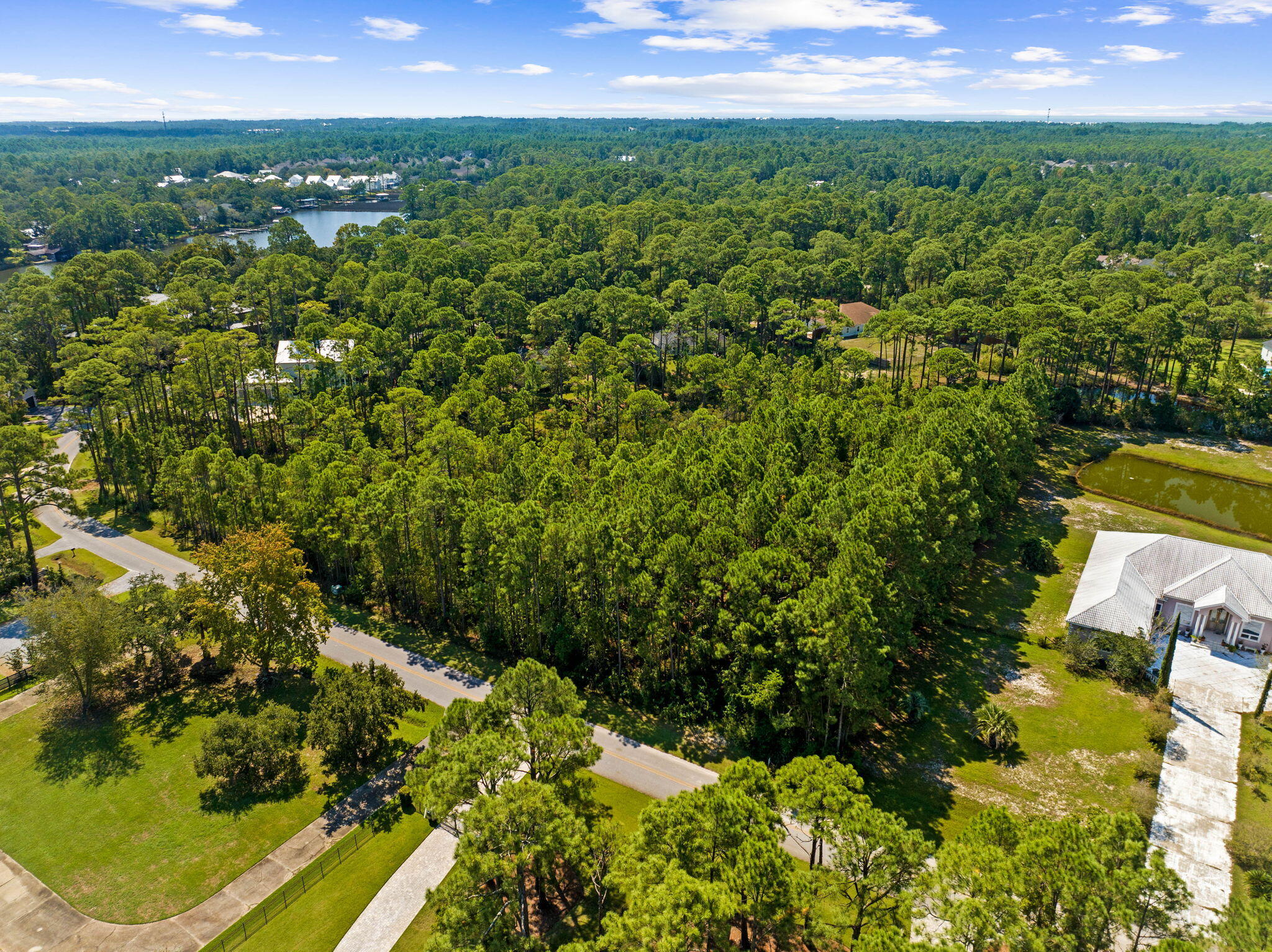 Lot 30 Woodland Bayou Drive Santa Rosa Beach, FL 32459 - Photo 9 of 28 a view of a yard with a garden