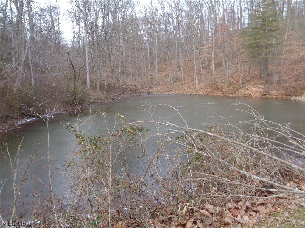 306 Beeman Road Washington, WV 26181 - Photo 3 of 15 Gallery Image 3