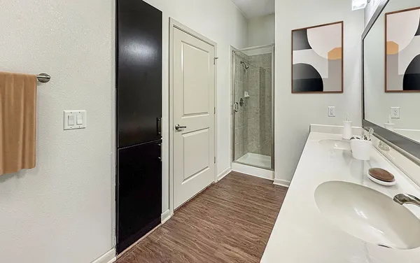 a bathroom with a sink and mirror
