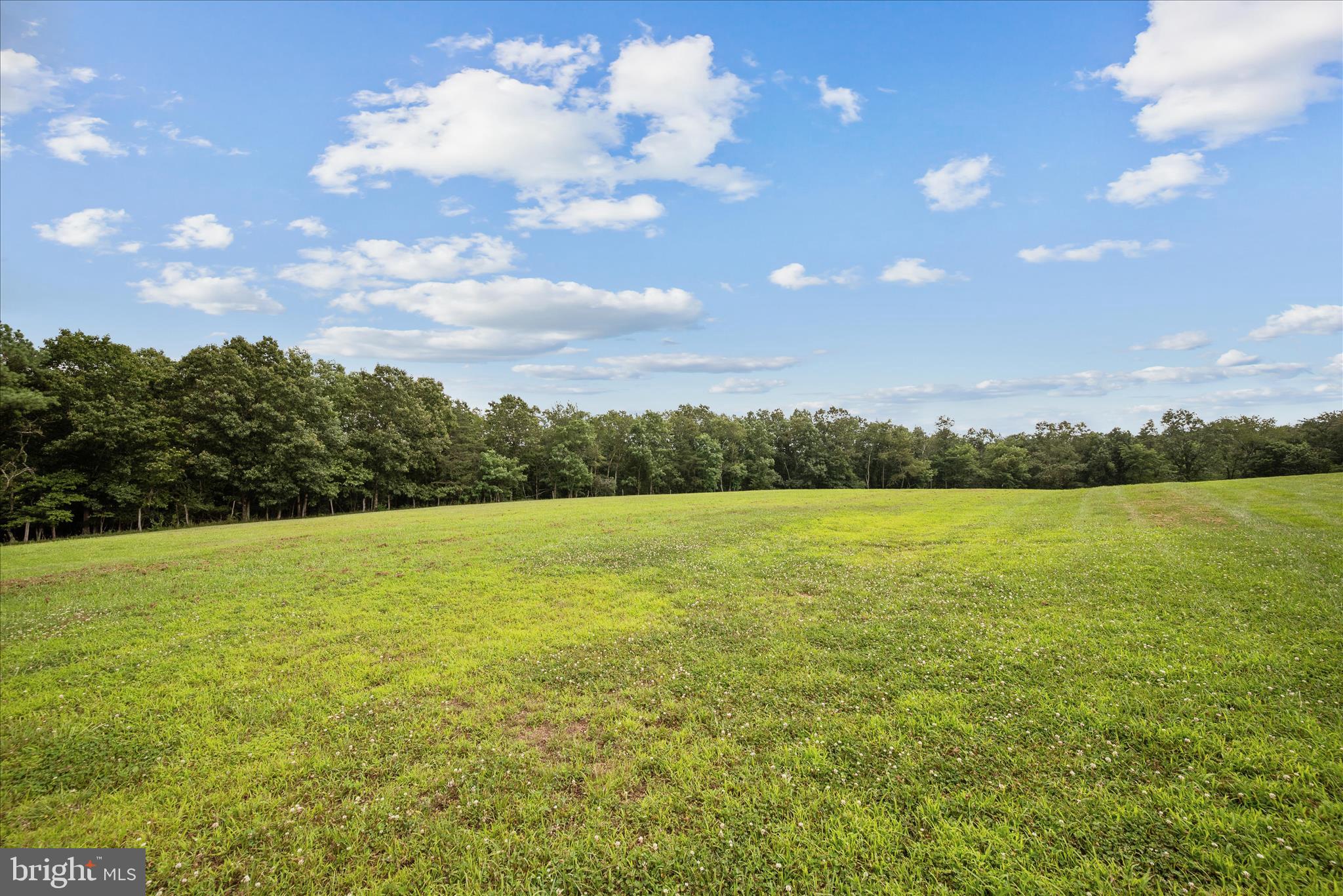 886 Middle Fork Road Cross Junction, VA 22625 - Photo 61 of 80 Backyard