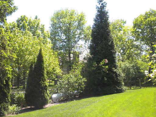 941 Red Haw Road Northbrook, IL 60062 - Photo 3 of 5 a view of yard with green space and trees