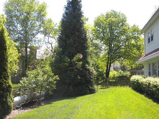 941 Red Haw Road Northbrook, IL 60062 - Photo 5 of 5 a view of a backyard with plants and a patio