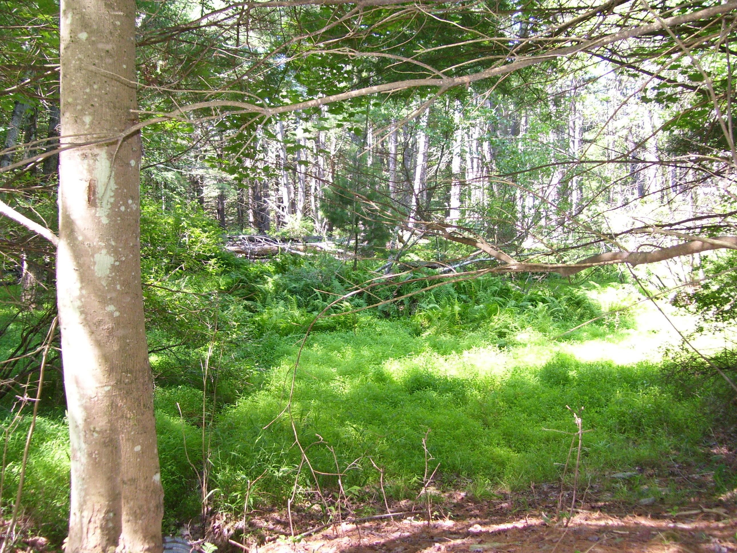 Lot #2 Rebels Road Hawley, PA 18428 - Photo 2 of 8