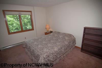 341 Valley View Road Davis, WV 26260 - Photo 15 of 20 Gallery Image 15