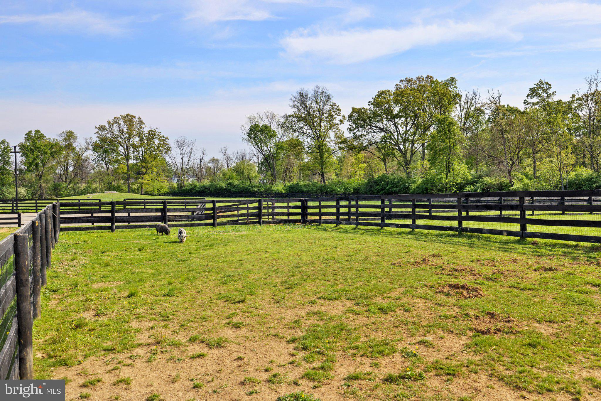 19798 Foggy Bottom Road Bluemont, VA 20135 - Photo 80 of 109 Gallery Image 80