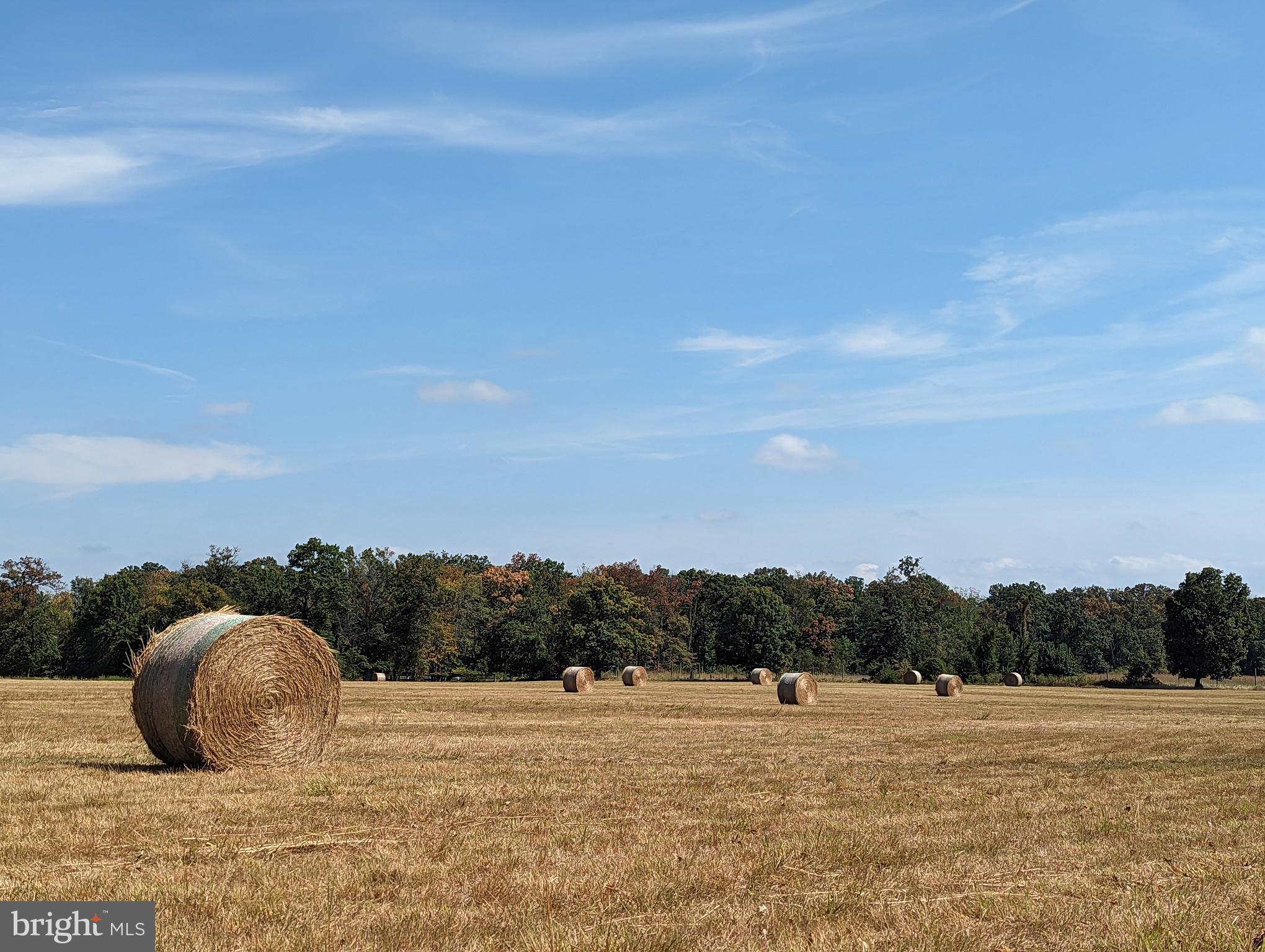 19798 Foggy Bottom Road Bluemont, VA 20135 - Photo 87 of 109 Gallery Image 87