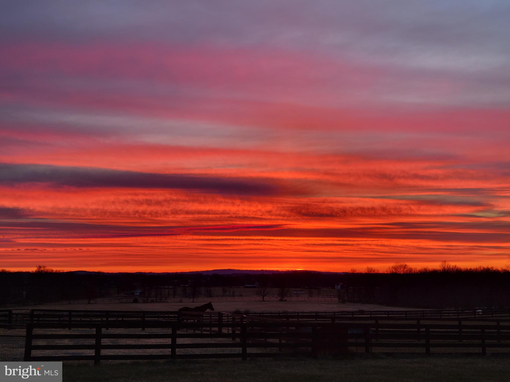 19798 Foggy Bottom Road Bluemont, VA 20135 - Photo 91 of 109 Gallery Image 91