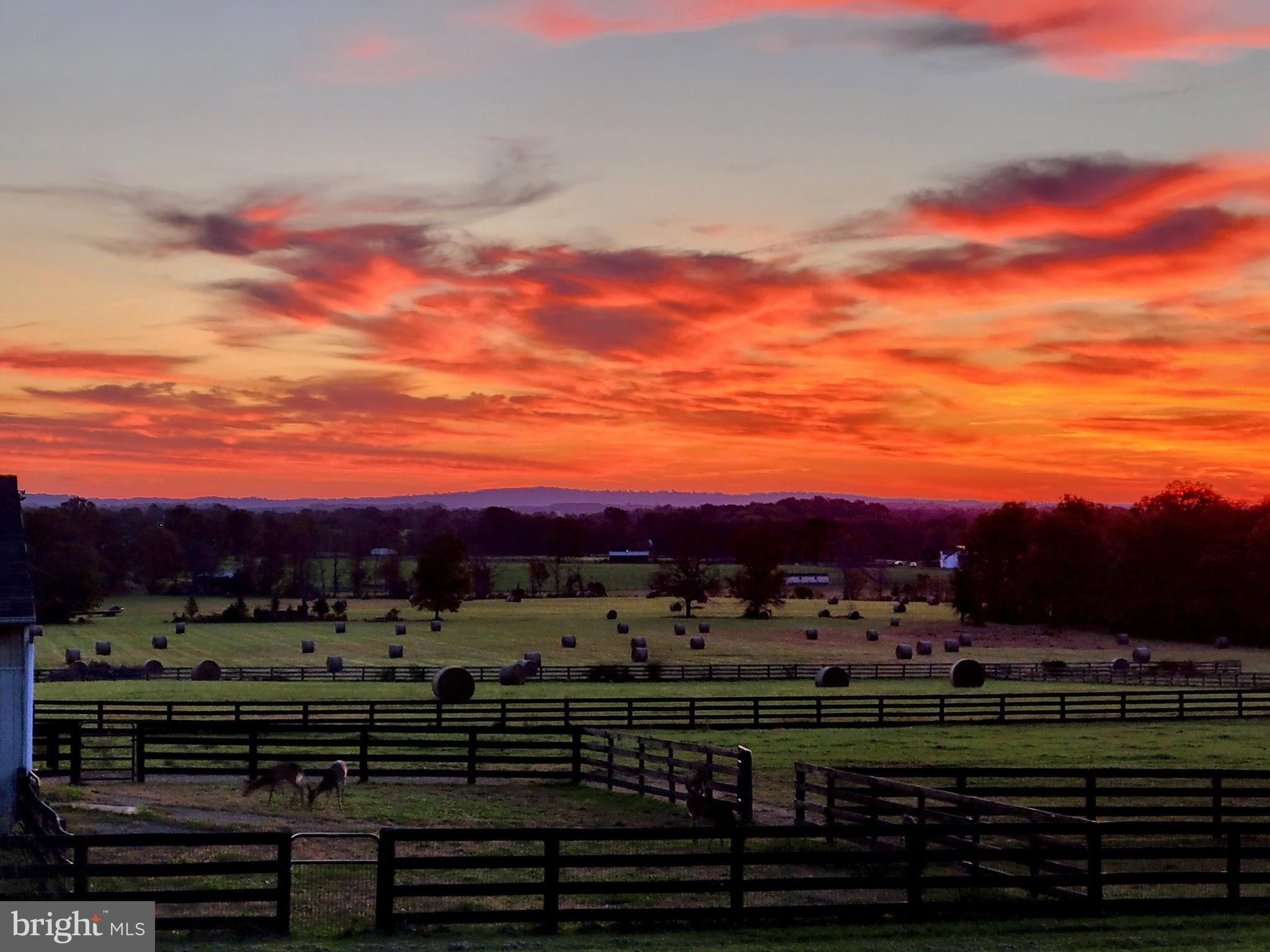 19798 Foggy Bottom Road Bluemont, VA 20135 - Photo 93 of 109 Gallery Image 93