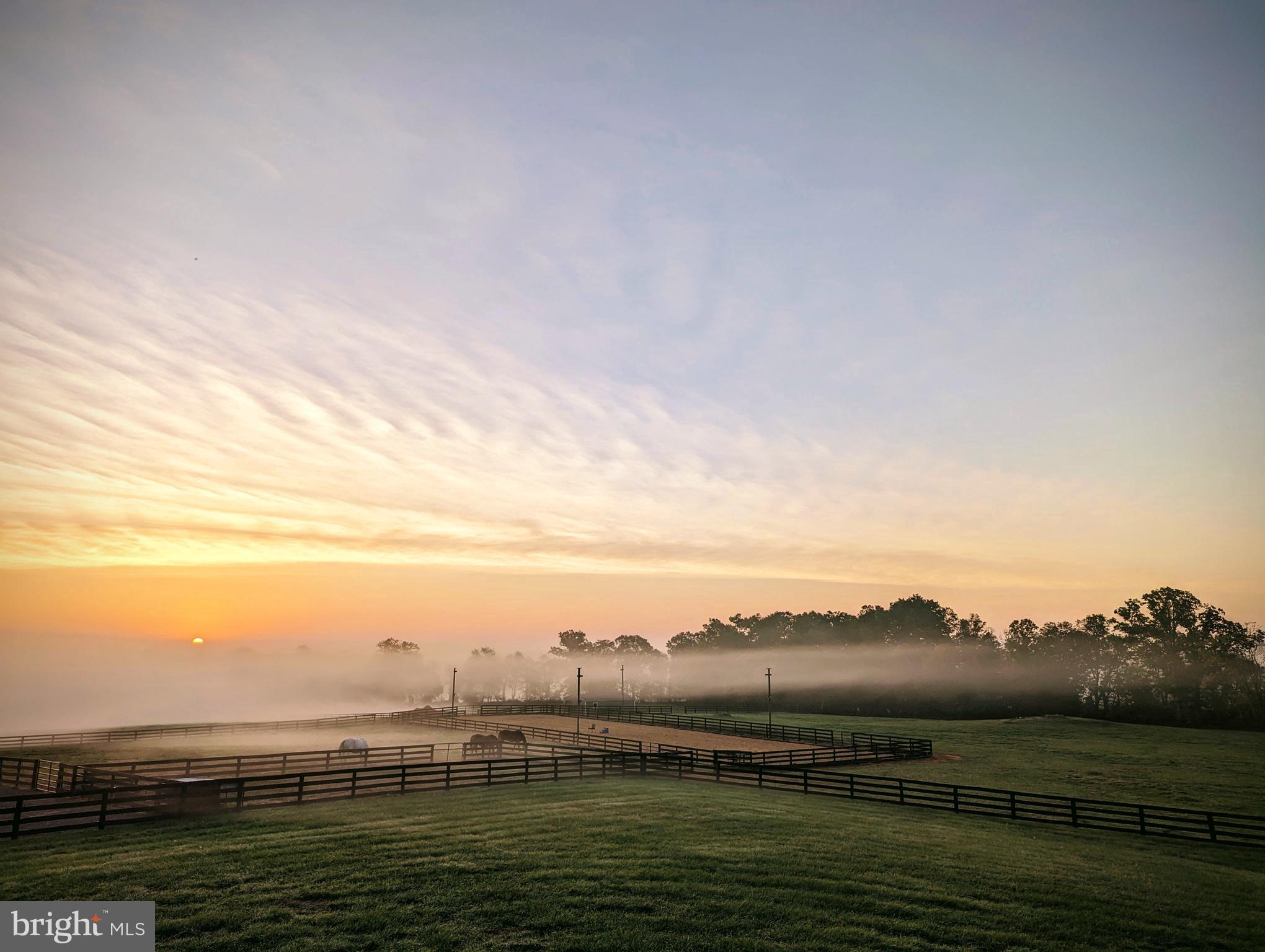 19798 Foggy Bottom Road Bluemont, VA 20135 - Photo 96 of 109 Gallery Image 96