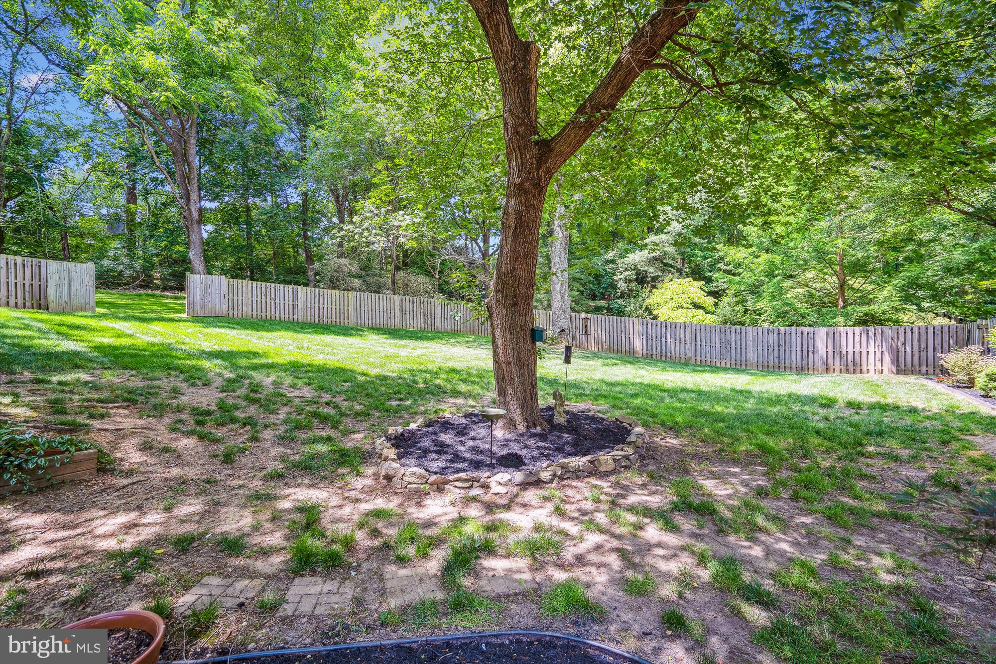 501 Apple Grove Road Silver Spring, MD 20904 - Photo 50 of 50 Backyard