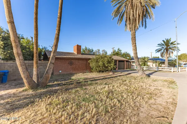 a view of a backyard with palm trees