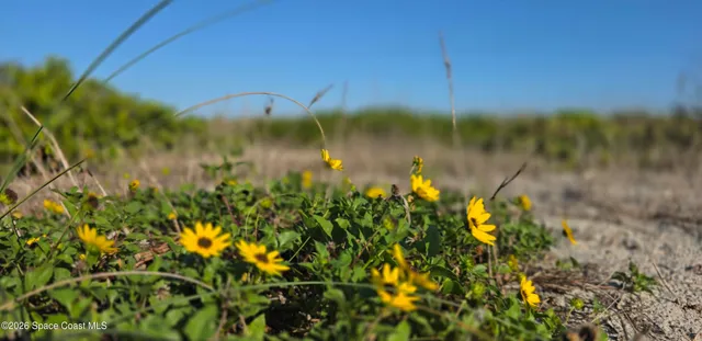 $3,750 | 3223 South Atlantic Avenue, Unit 405, Cocoa Beach, FL 32931
