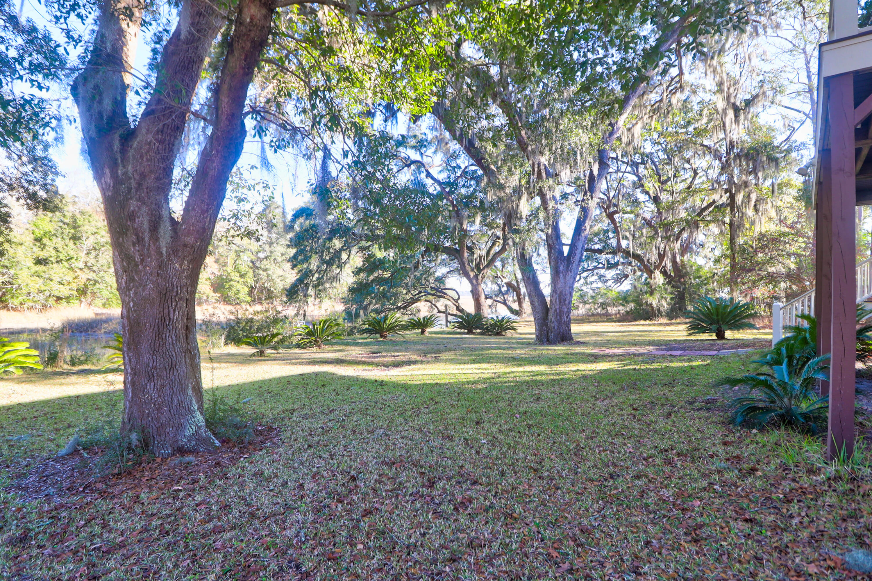 4154 Jean Laffite Road Hollywood, SC 29449 - Photo 51 of 60 Backyard Mature Trees