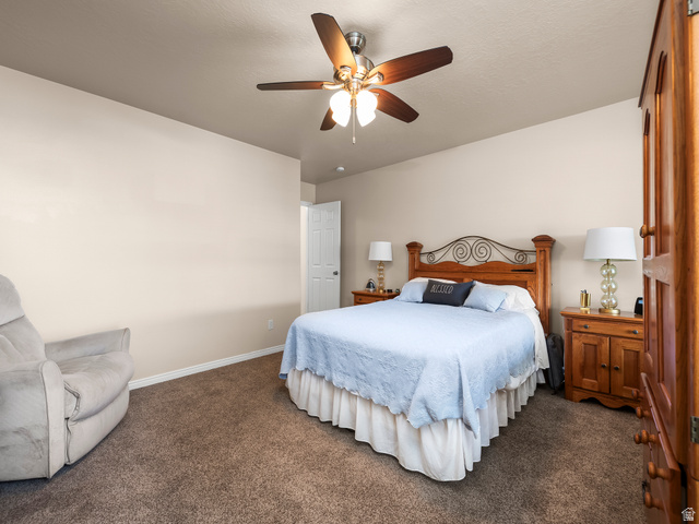 1602 Renaissance Way Springville, UT 84663 - Photo 14 of 42 Textured carpeting with light-toned walls