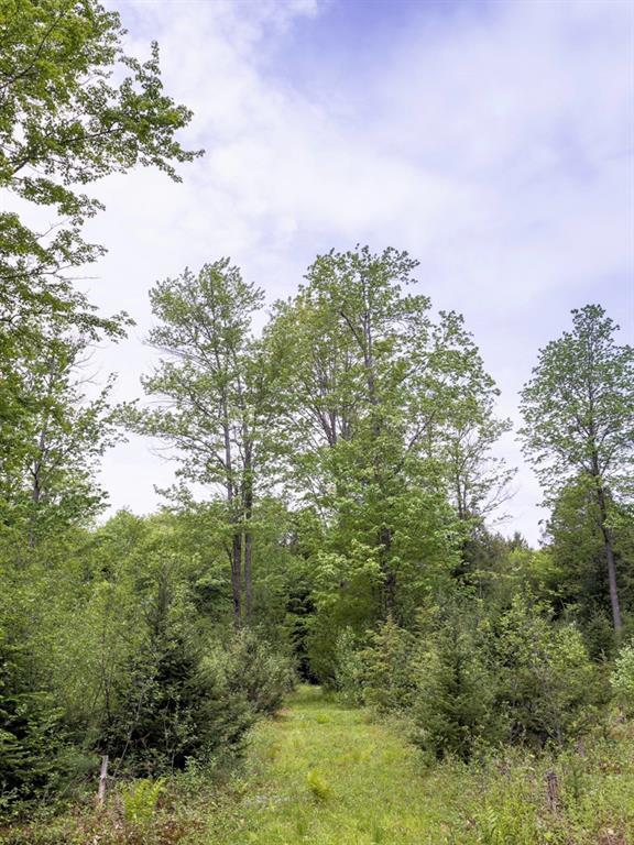 239 Tuttle Road Cumberland Center, ME 04021 - Photo 22 of 28 Photo