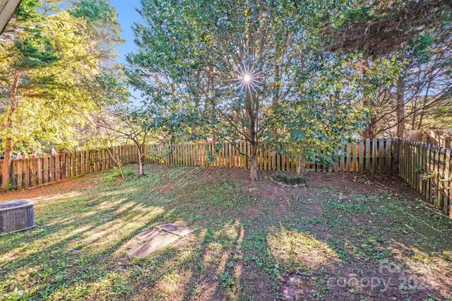 a view of a yard with plants and large trees