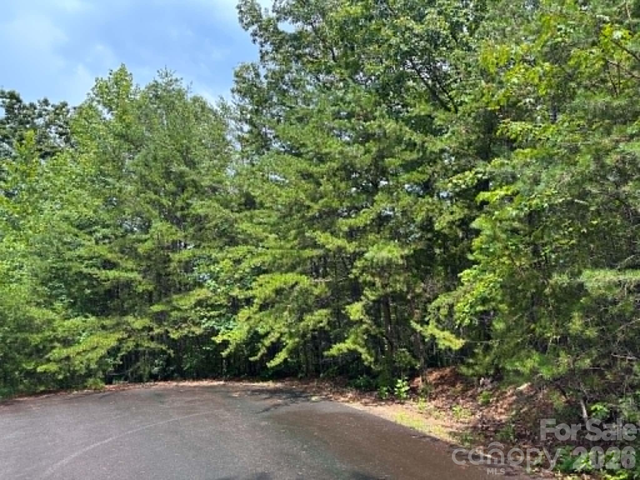 Tbd Fire Tower Road Bostic, NC 28018 - Photo 4 of 8 Gallery Image 4