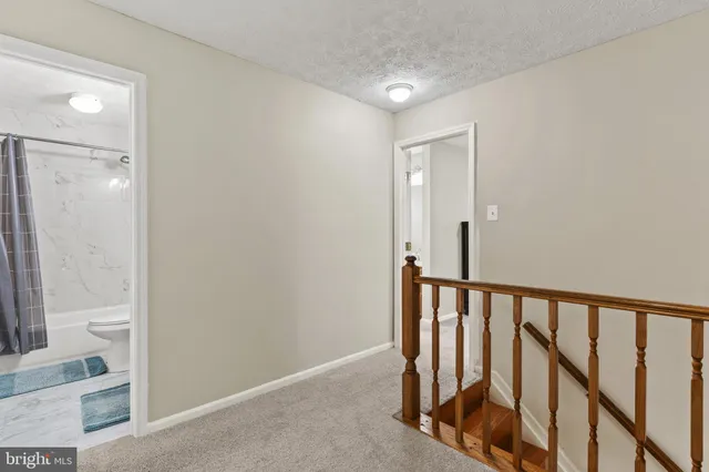 a view of staircase with rug floor