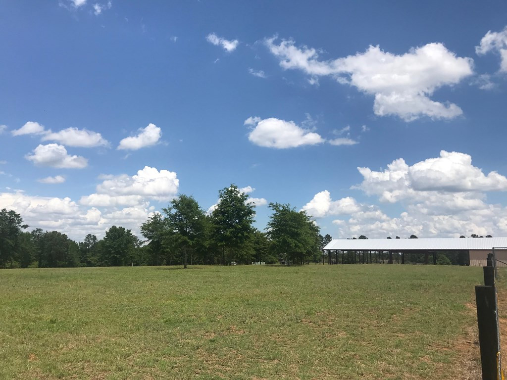 115 Burkelo Road Wagener, SC 29164 - Photo 46 of 60