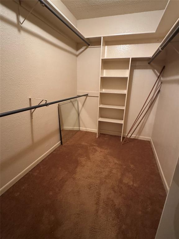 415 Meadowlark Trail Springtown, TX 76082 - Photo 17 of 40 a view of walk in closet with empty racks