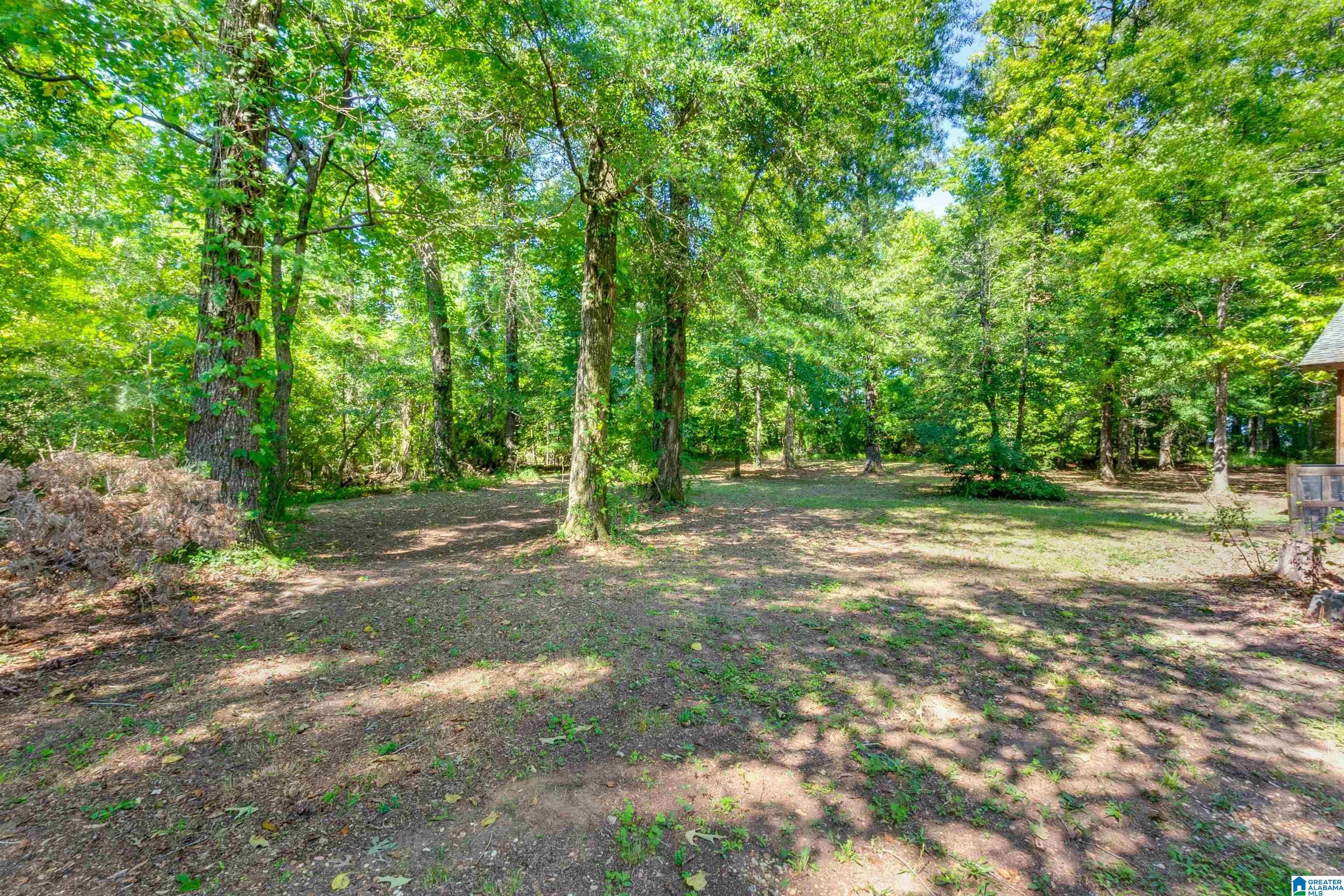 714 Pecan Road Plantersville, AL 36758 - Photo 46 of 49