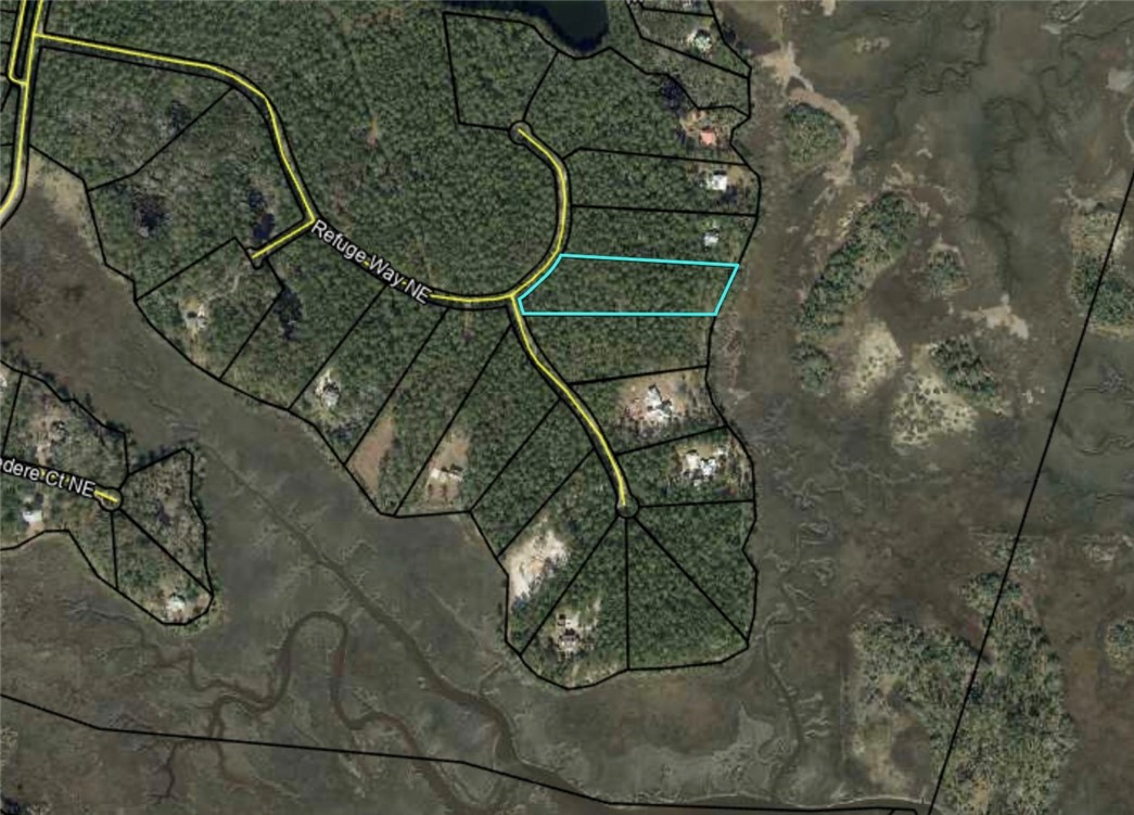 Lot 233 Refuge Way Northeast Townsend, GA 31331 - Photo 2 of 25 PARCEL HIGHLIGHTED FROM TAX ASSESSOR WEBSITE