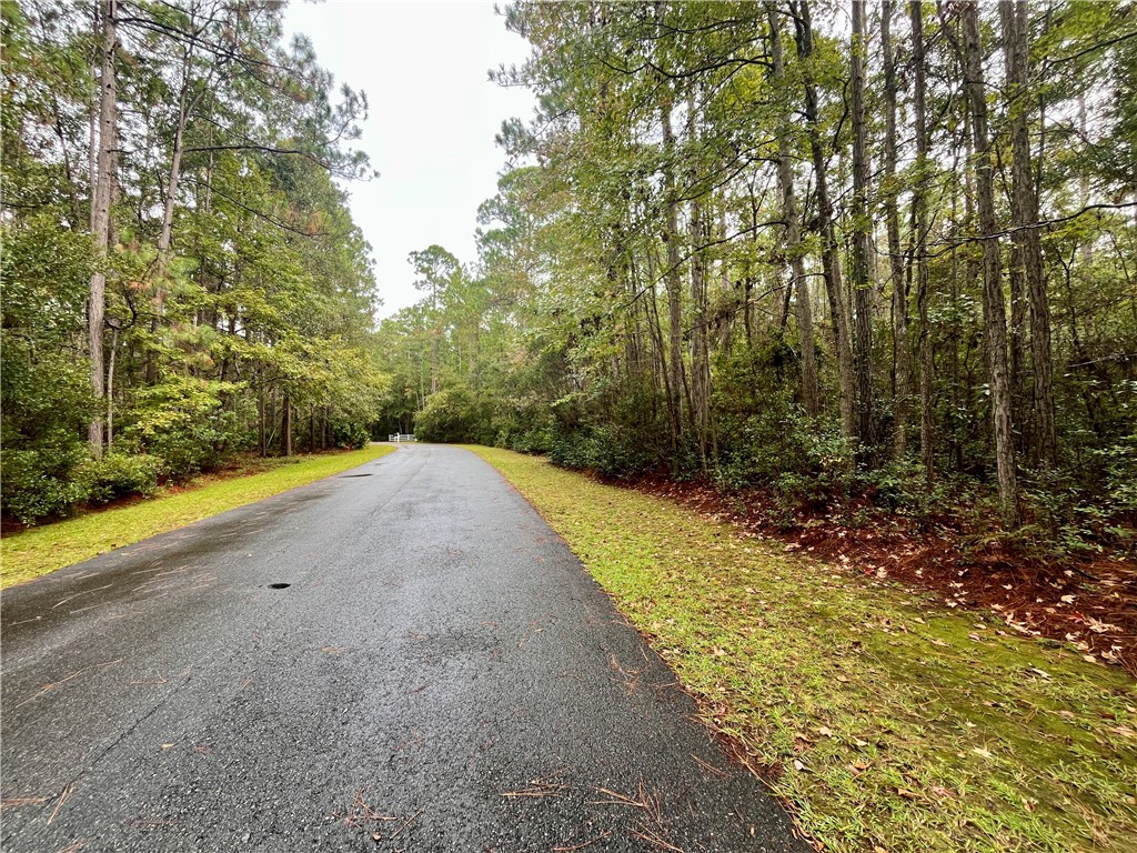 Lot 233 Refuge Way Northeast Townsend, GA 31331 - Photo 4 of 25 VIEW DOWN THE STREET TO THE LEFT
