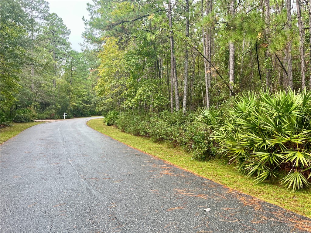 Lot 233 Refuge Way Northeast Townsend, GA 31331 - Photo 5 of 25 VIEW DOWN THE STREET TO THE RIGHT