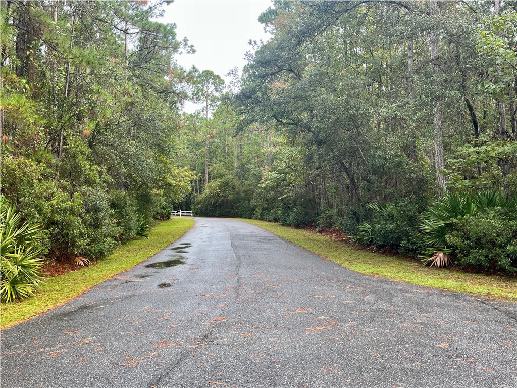 Lot 233 Refuge Way Northeast Townsend, GA 31331 - Photo 7 of 25 REFUGE WAY