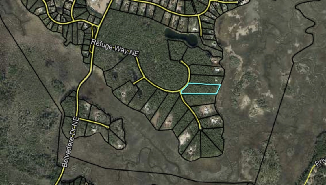Lot 233 Refuge Way Northeast Townsend, GA 31331 - Photo 8 of 25 PARCEL HIGHLIGHTED FROM TAX ASSESSOR WEBSITE