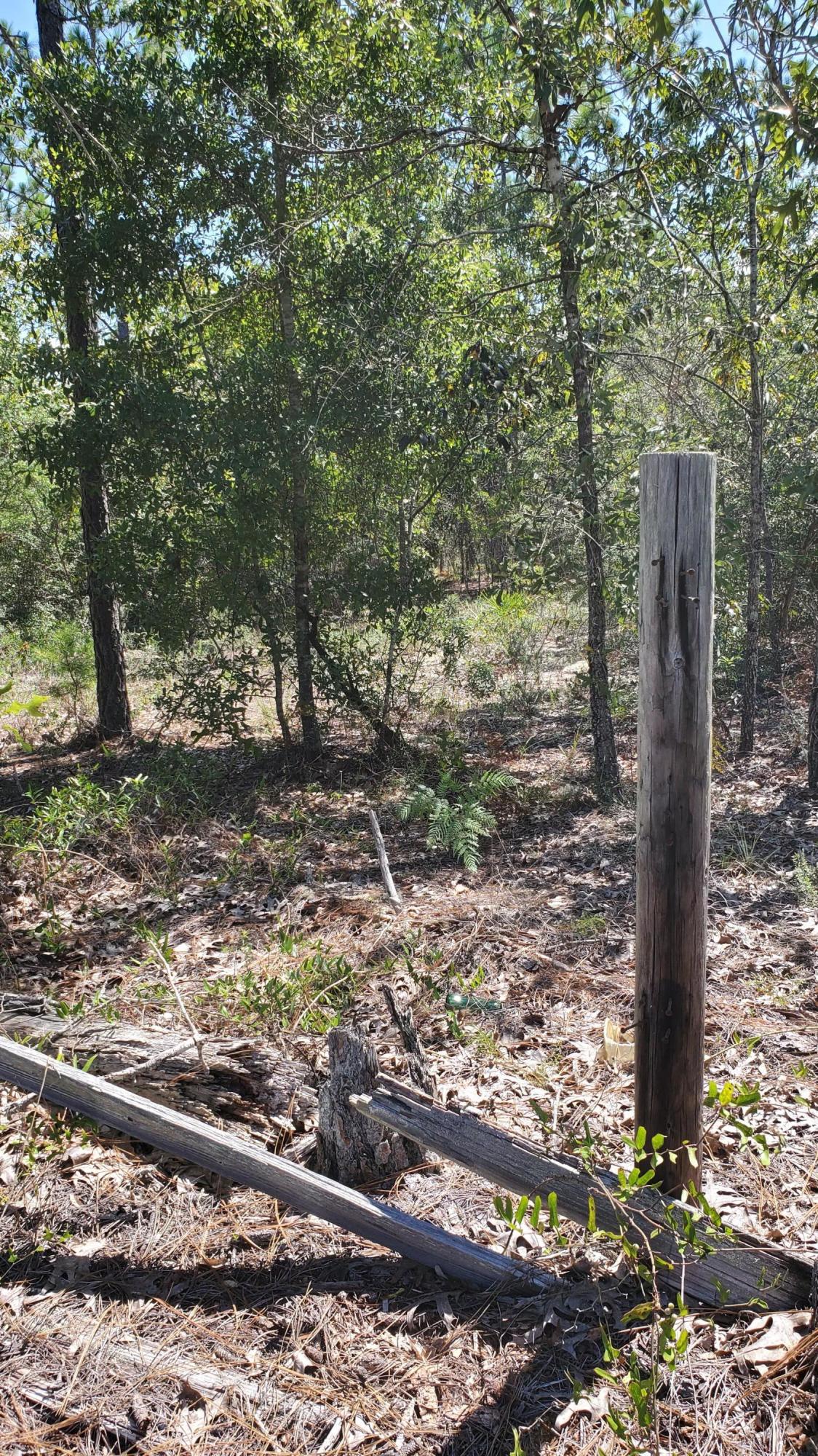 2.1-ac Mt Olive Road Crestview, FL 32539 - Photo 8 of 12 20210814_111250