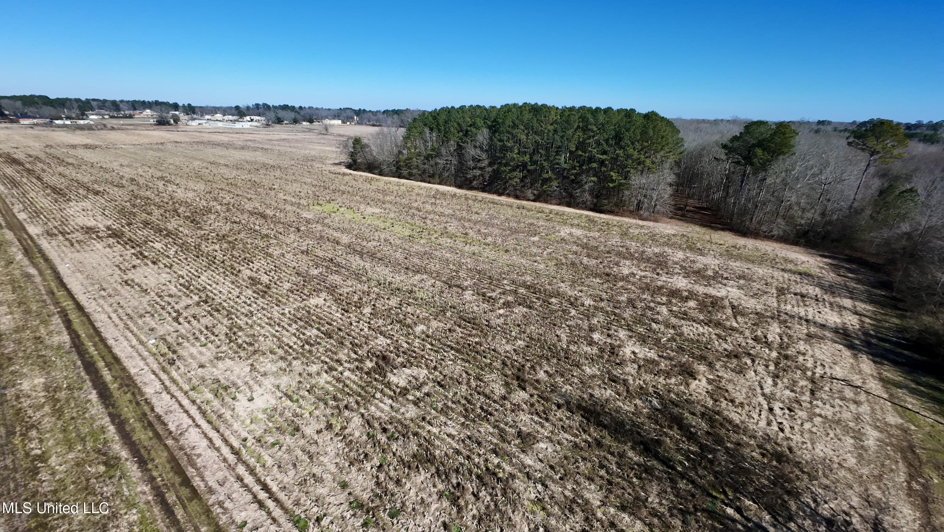 0 East Main Street Carthage, MS 39051 - Photo 1 of 19 Land