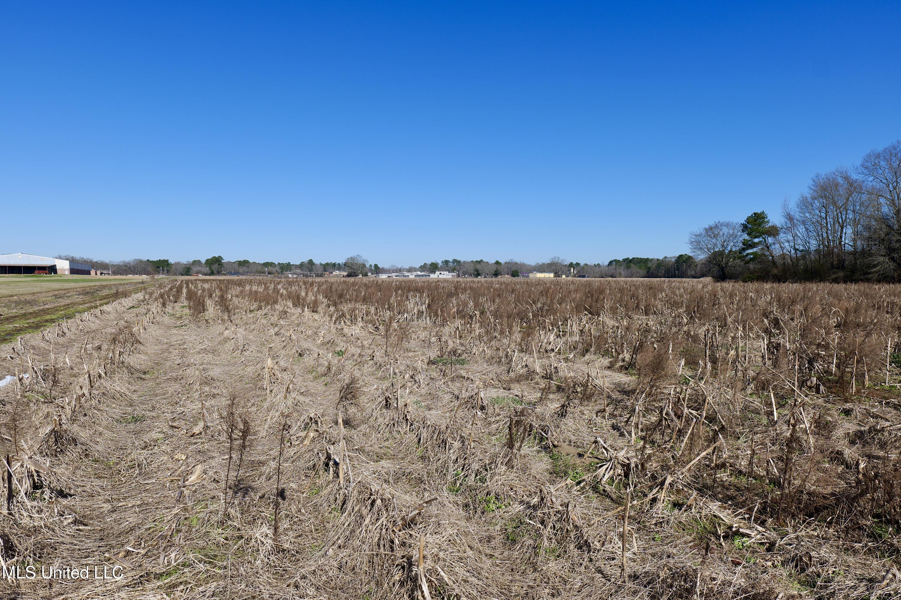 0 East Main Street Carthage, MS 39051 - Photo 11 of 19 P1011617