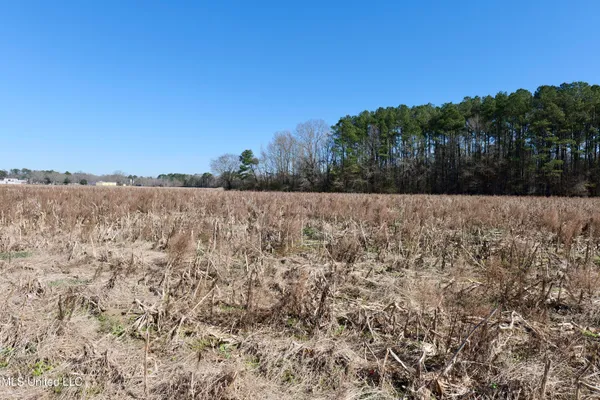$740,000 | 0 East Main Street, Carthage, MS 39051