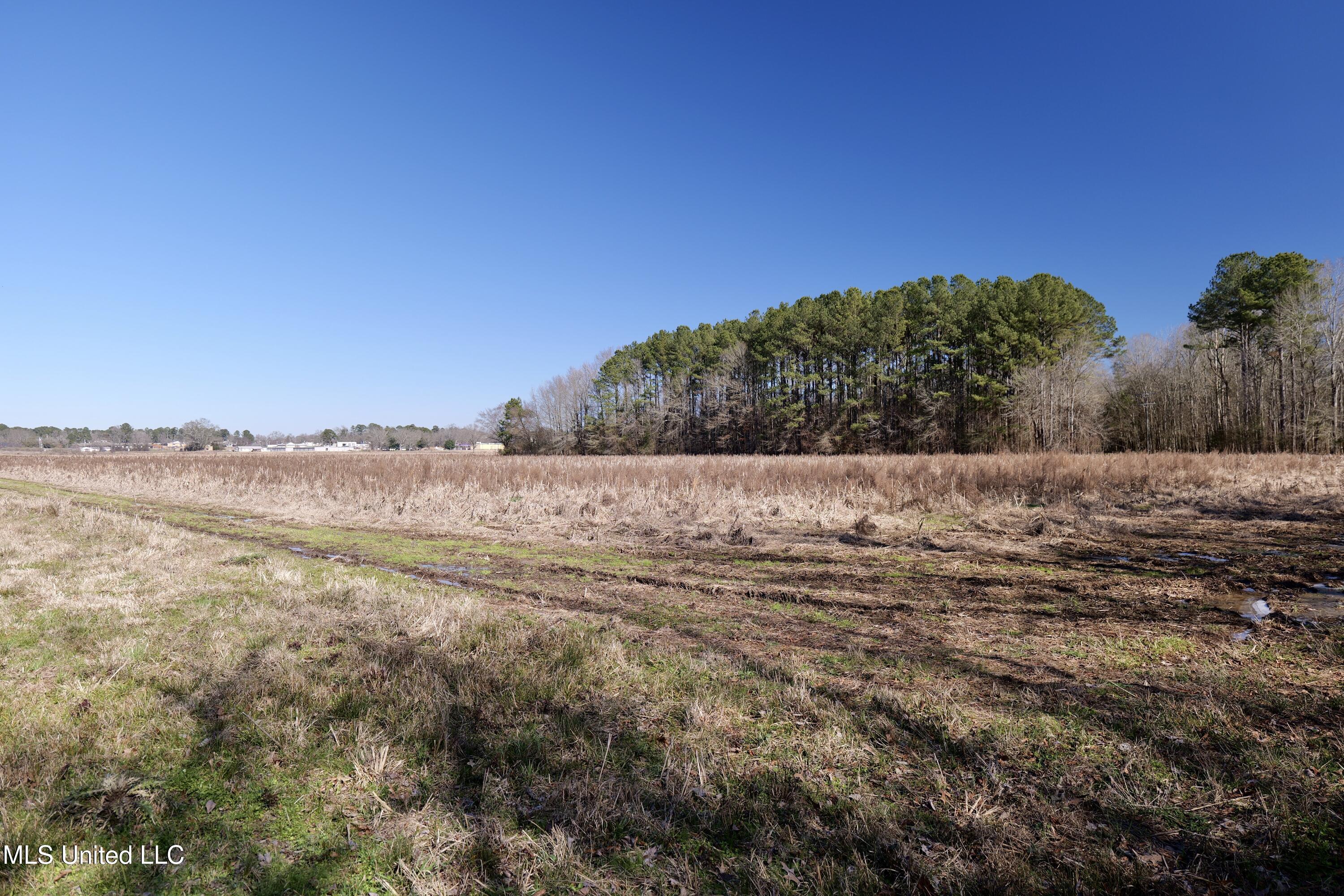 0 East Main Street Carthage, MS 39051 - Photo 15 of 19 P1011642
