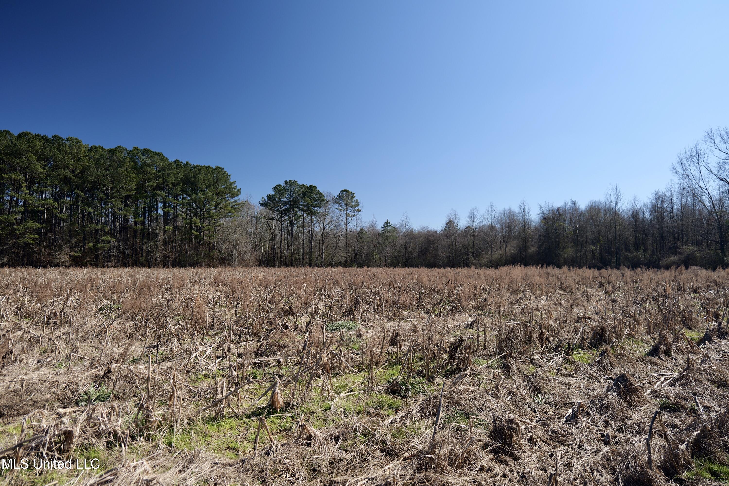 0 East Main Street Carthage, MS 39051 - Photo 18 of 19 P1011652
