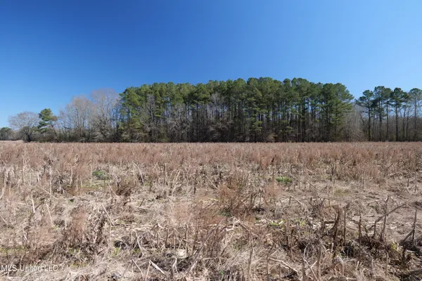 $740,000 | 0 East Main Street, Carthage, MS 39051