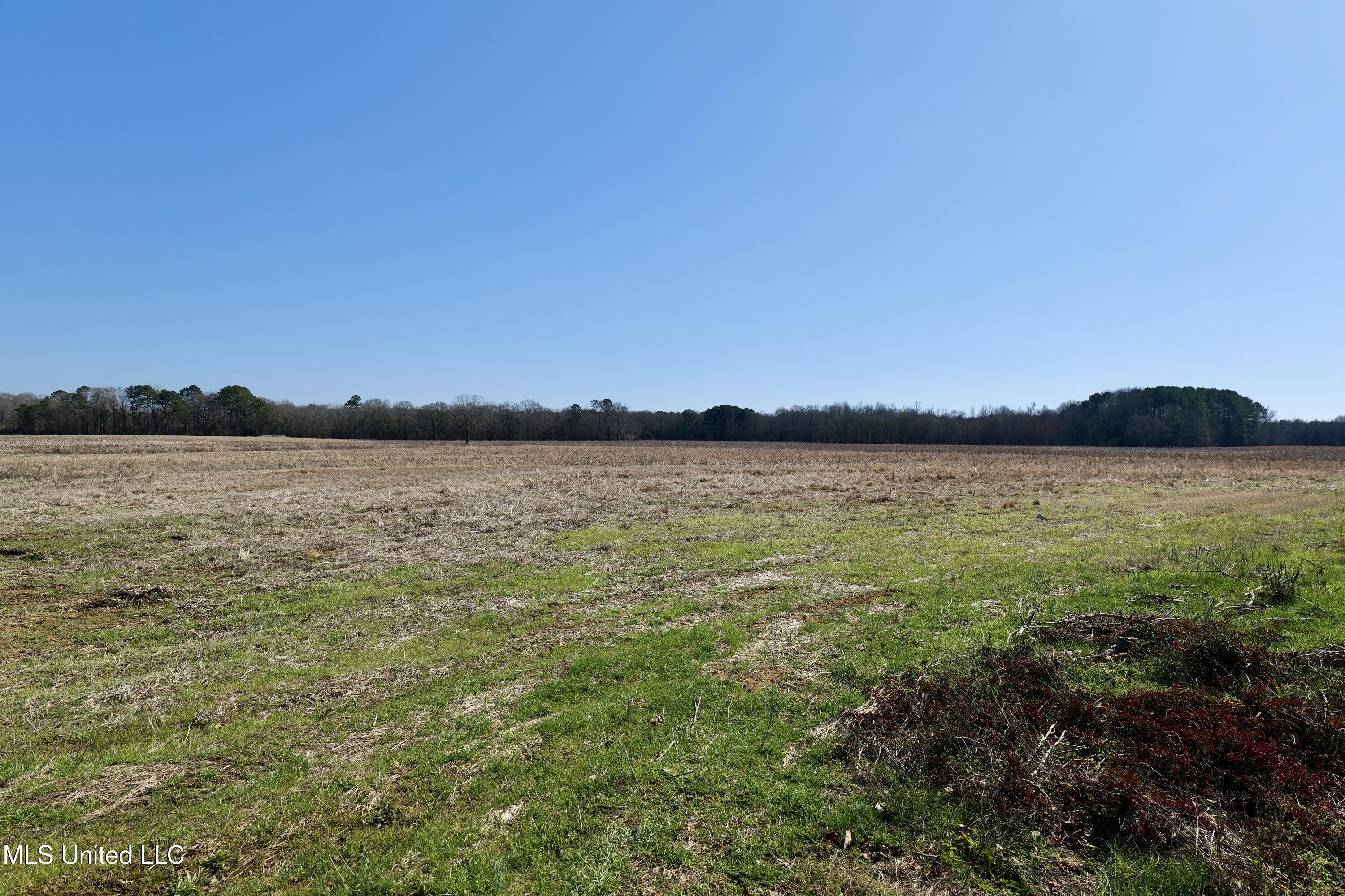 0 East Main Street Carthage, MS 39051 - Photo 5 of 19 P1011598