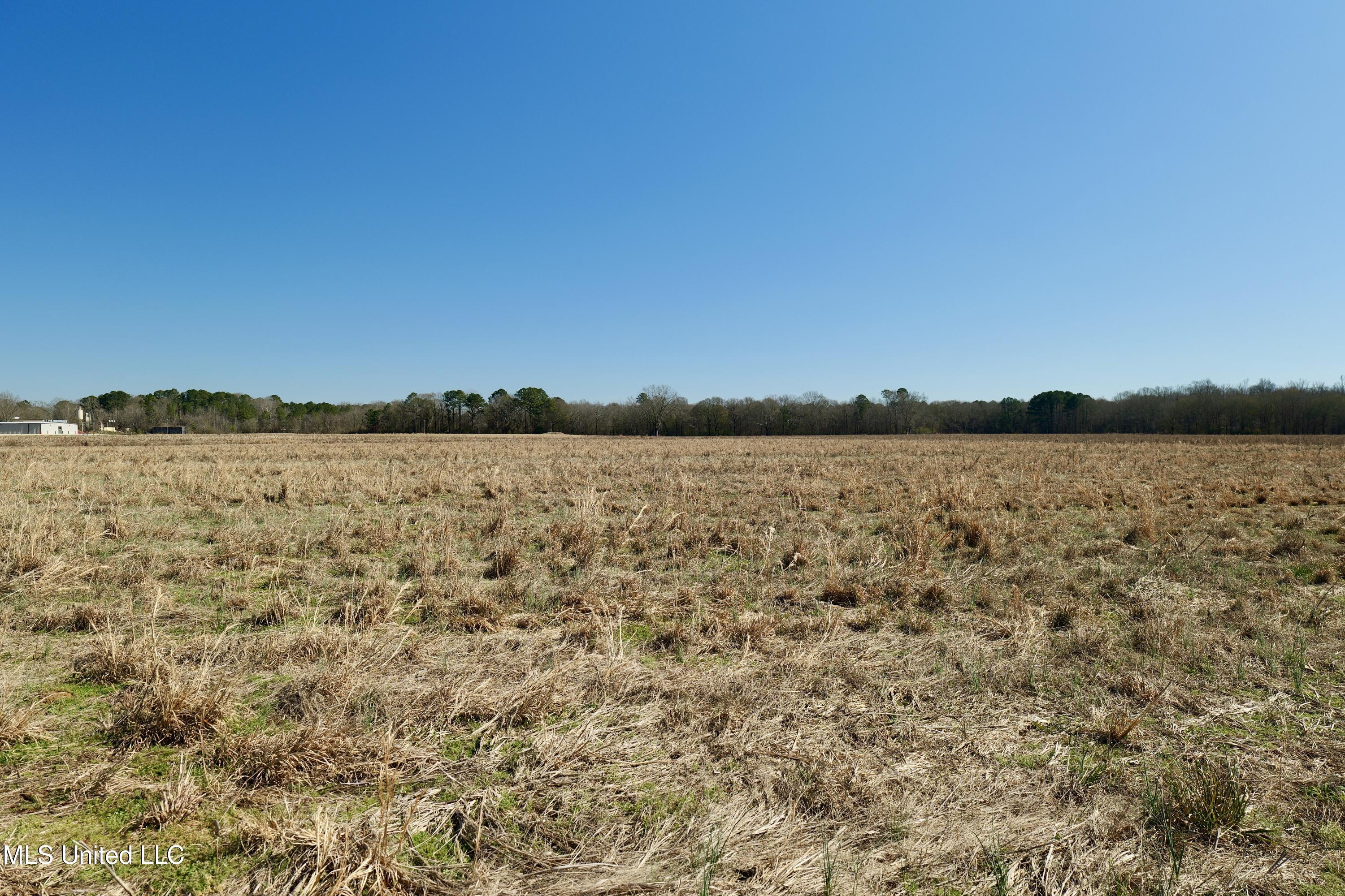 0 East Main Street Carthage, MS 39051 - Photo 8 of 19 P1011612